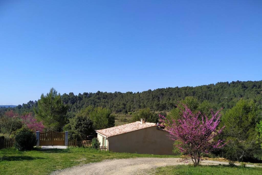 Villa L'Arbre à soleil Aigues-Vives  Exterior foto